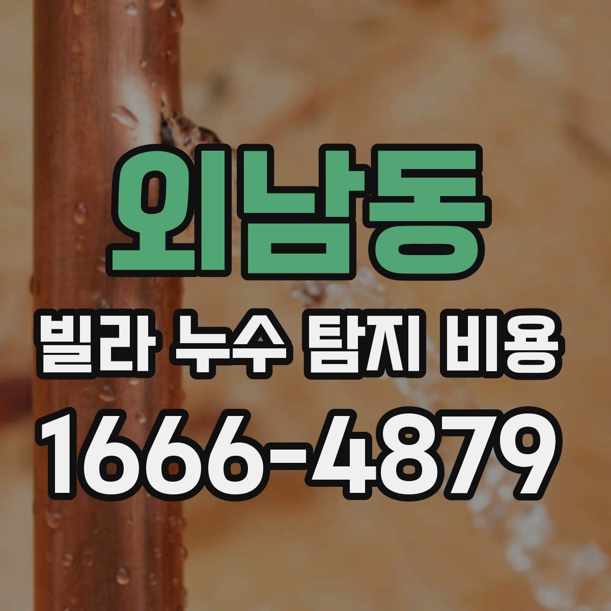 외남동 빌라 누수 탐지 비용