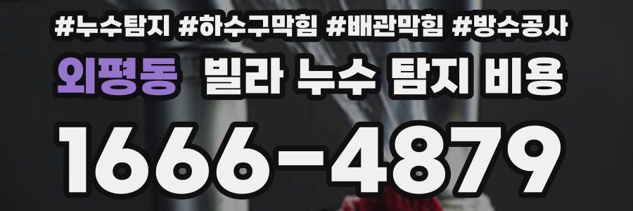 외평동 빌라 누수 탐지 비용