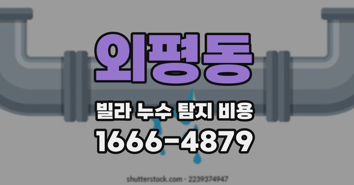 외평동 빌라 누수 탐지 비용