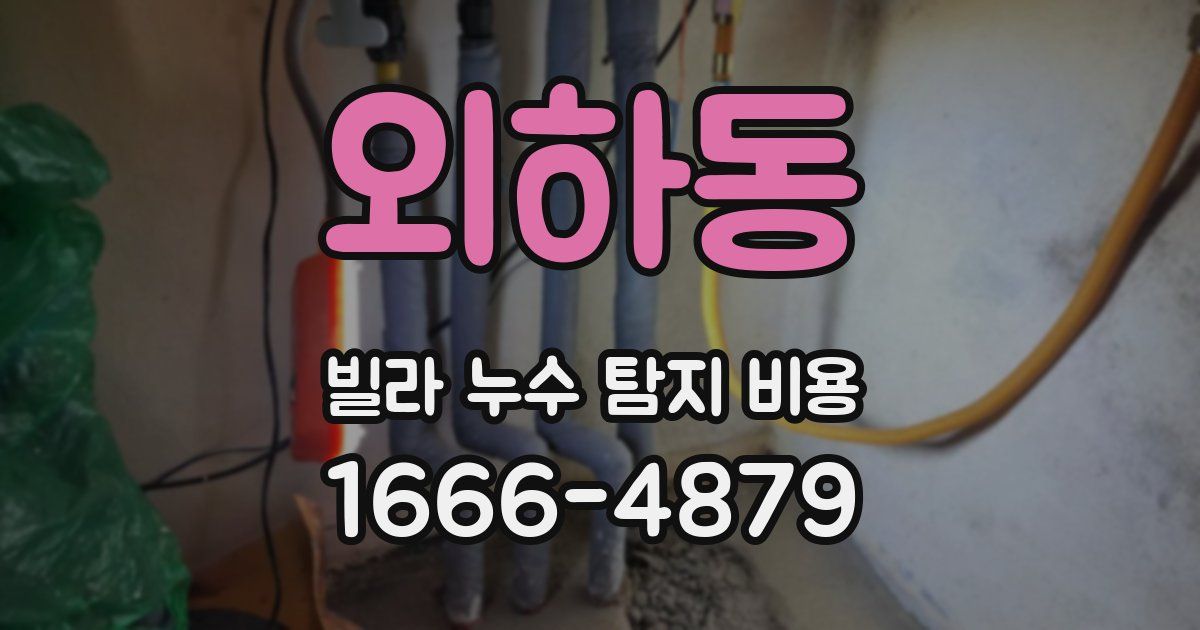 외하동 빌라 누수 탐지 비용