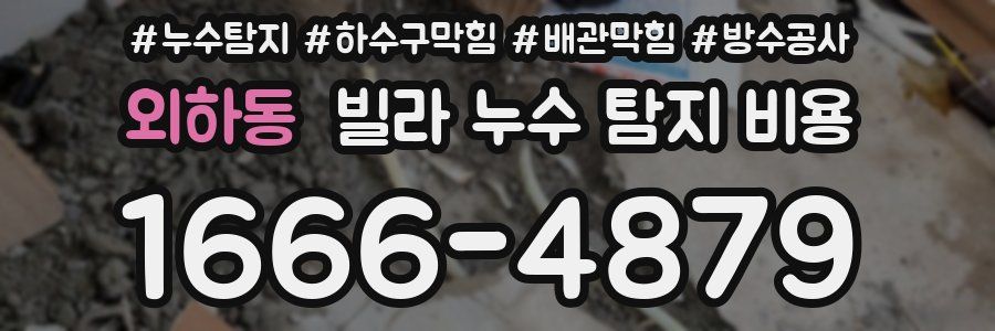 외하동 빌라 누수 탐지 비용