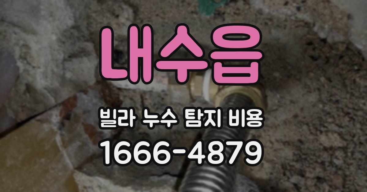 내수읍 빌라 누수 탐지 비용