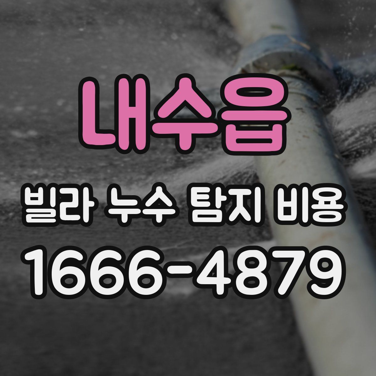 내수읍 빌라 누수 탐지 비용