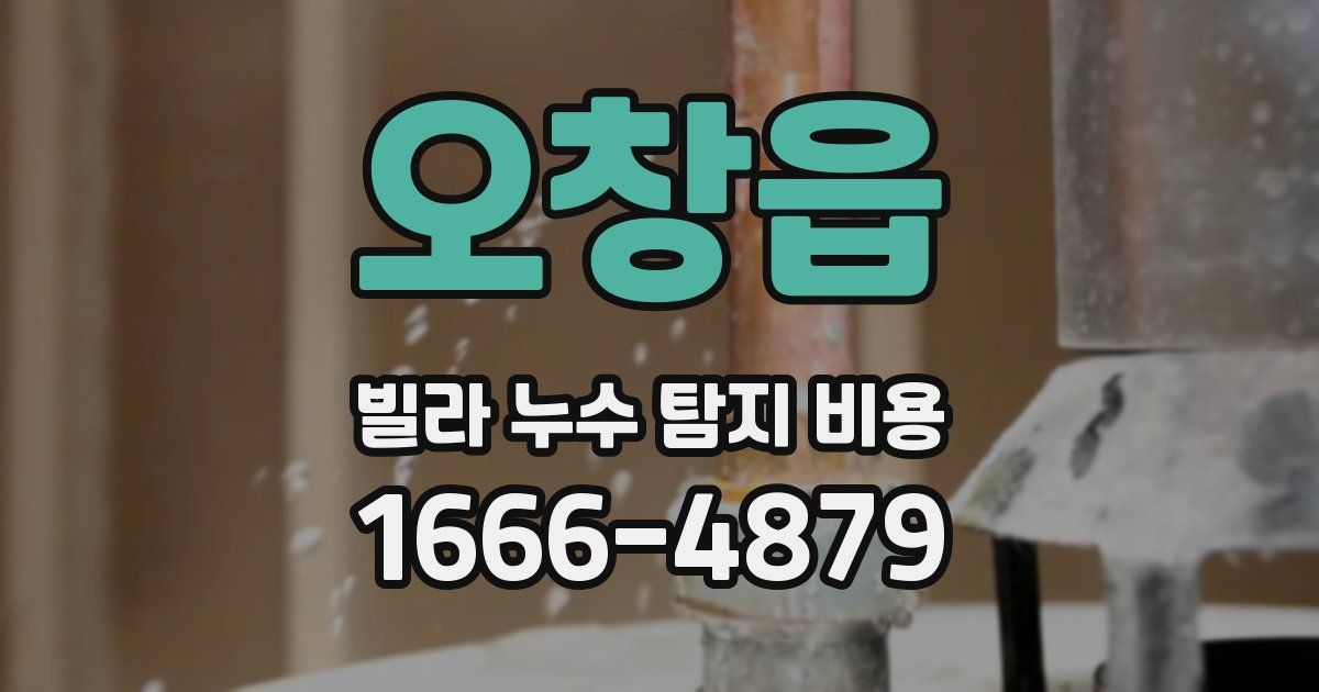 오창읍 빌라 누수 탐지 비용