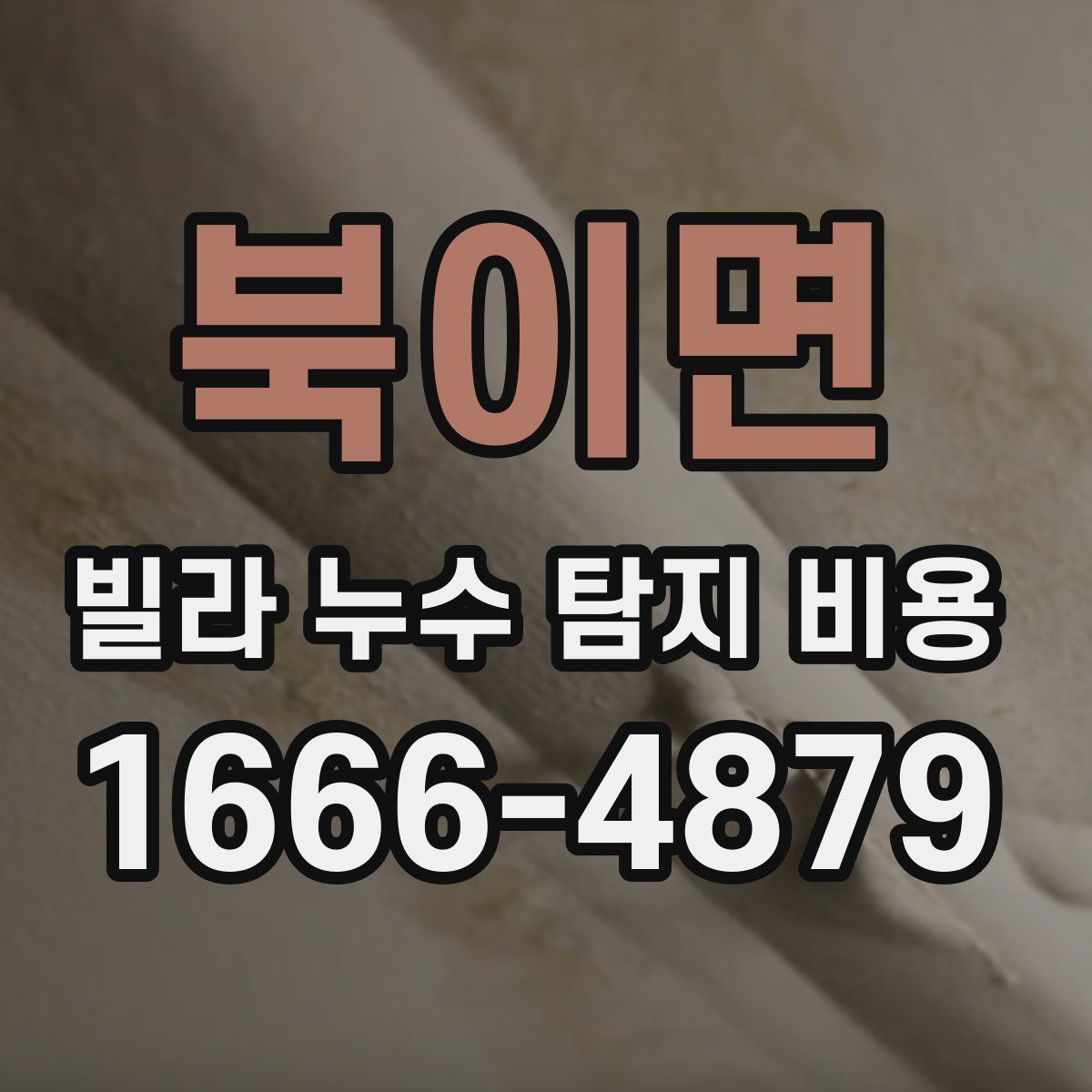 북이면 빌라 누수 탐지 비용