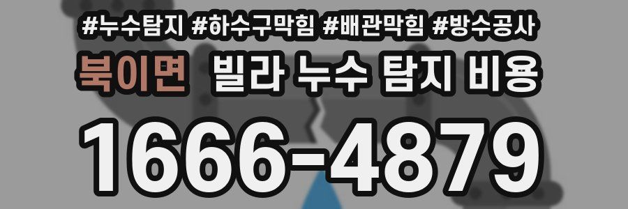 북이면 빌라 누수 탐지 비용