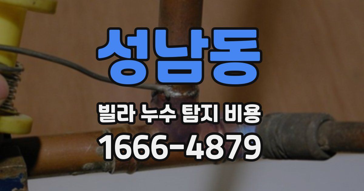 성남동 빌라 누수 탐지 비용