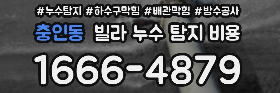 충인동 빌라 누수 탐지 비용
