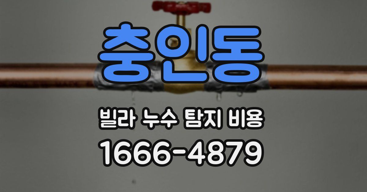 충인동 빌라 누수 탐지 비용