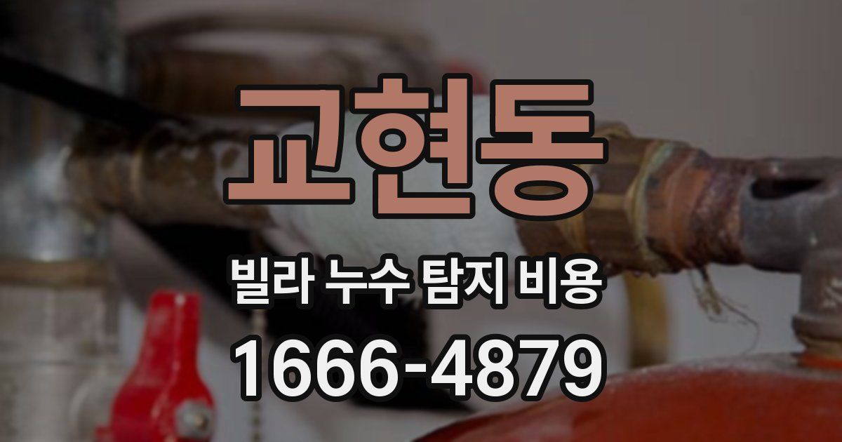 교현동 빌라 누수 탐지 비용