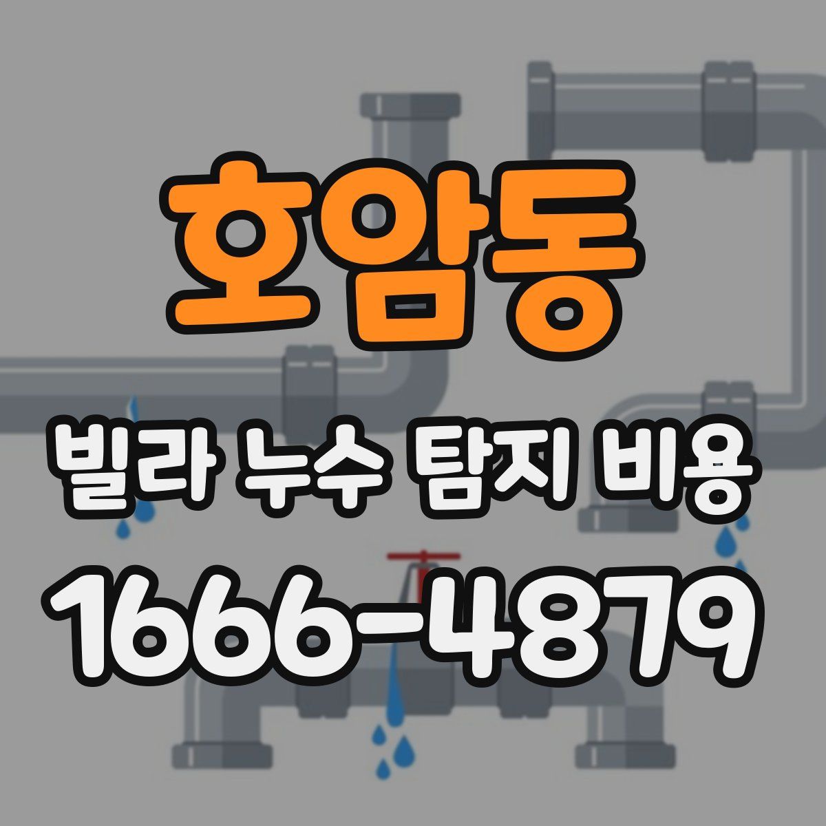 호암동 빌라 누수 탐지 비용