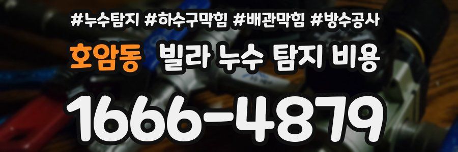 호암동 빌라 누수 탐지 비용