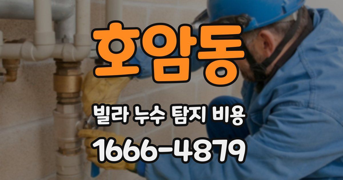 호암동 빌라 누수 탐지 비용