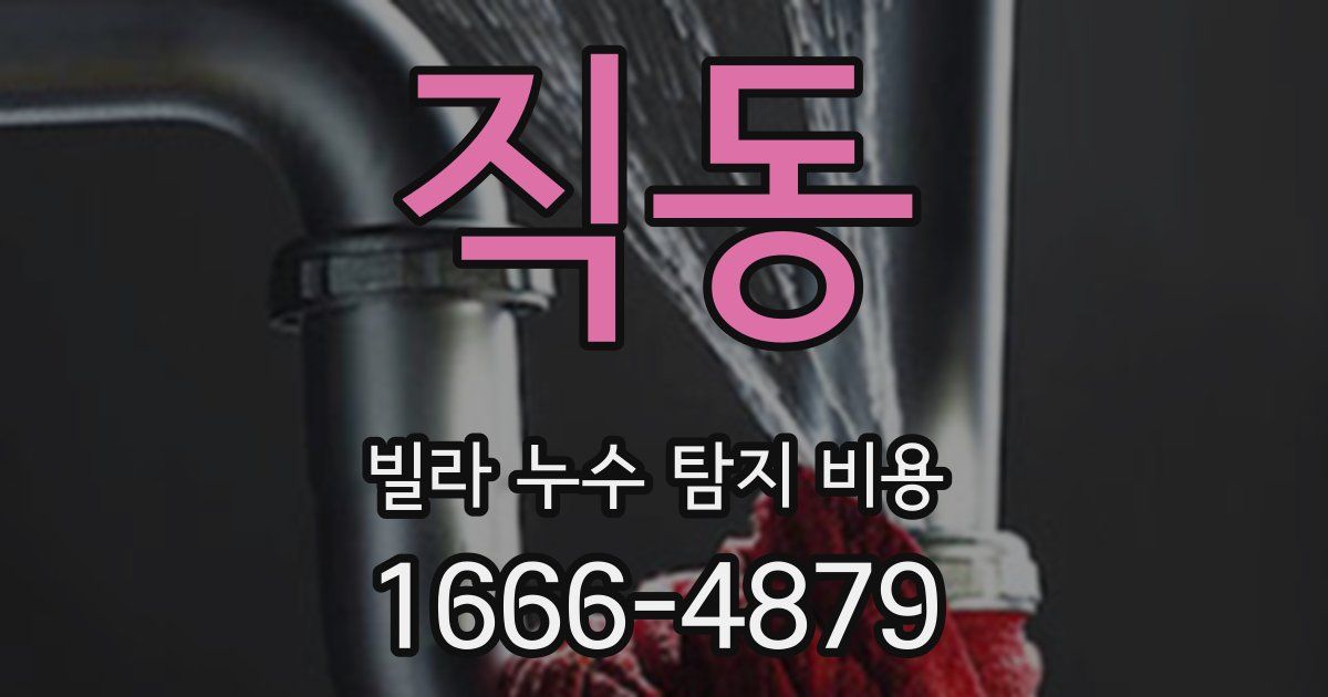 직동 빌라 누수 탐지 비용