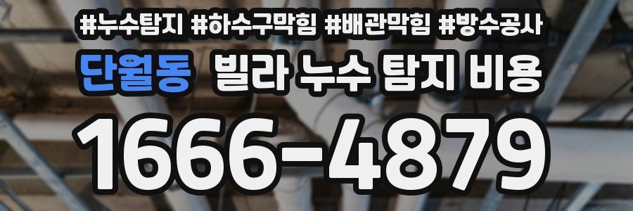 단월동 빌라 누수 탐지 비용