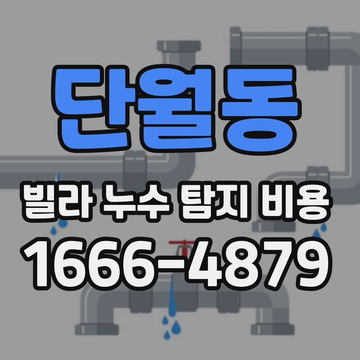 단월동 빌라 누수 탐지 비용