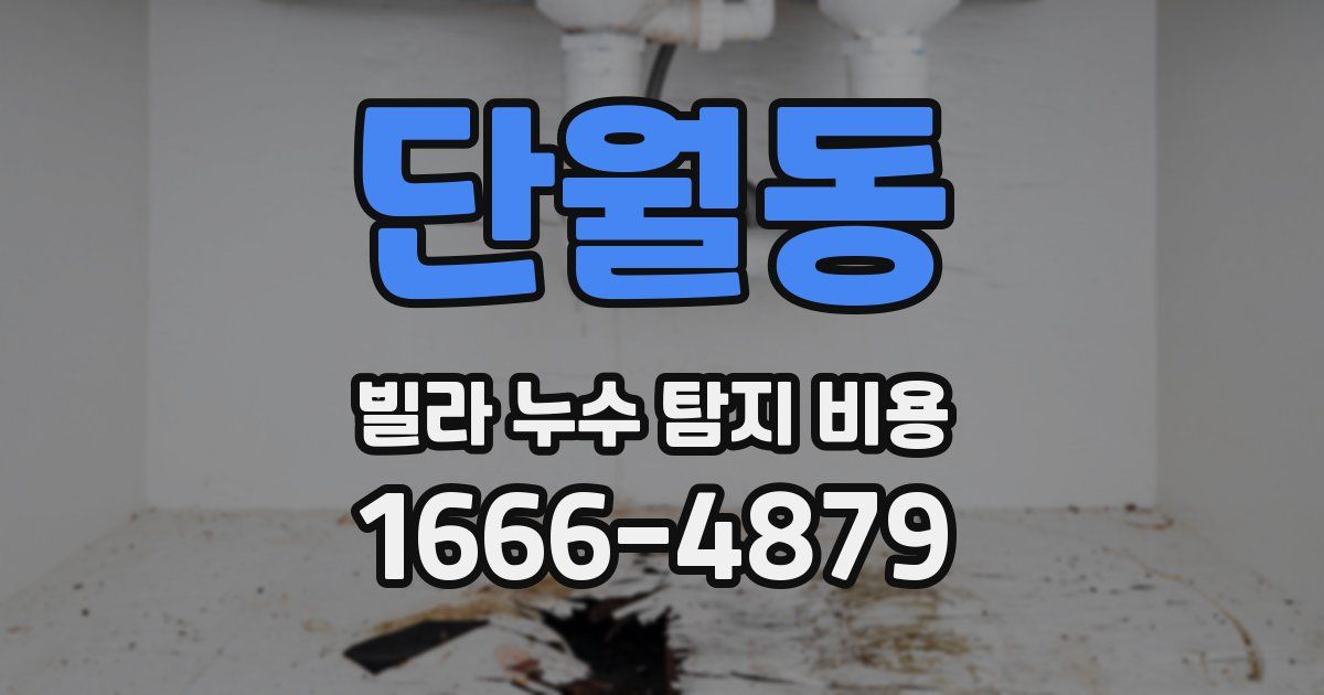 단월동 빌라 누수 탐지 비용