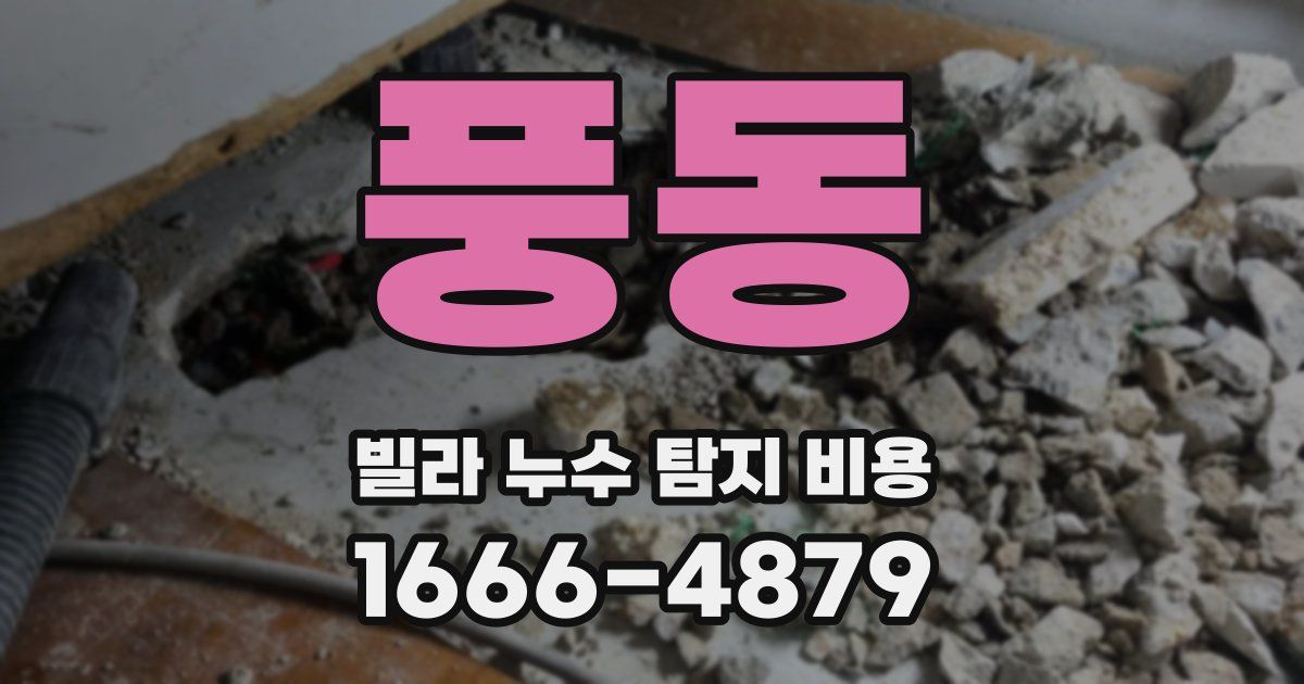 풍동 빌라 누수 탐지 비용