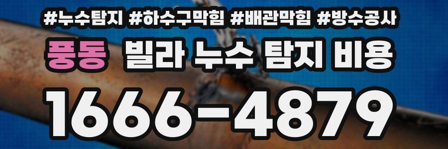 풍동 빌라 누수 탐지 비용