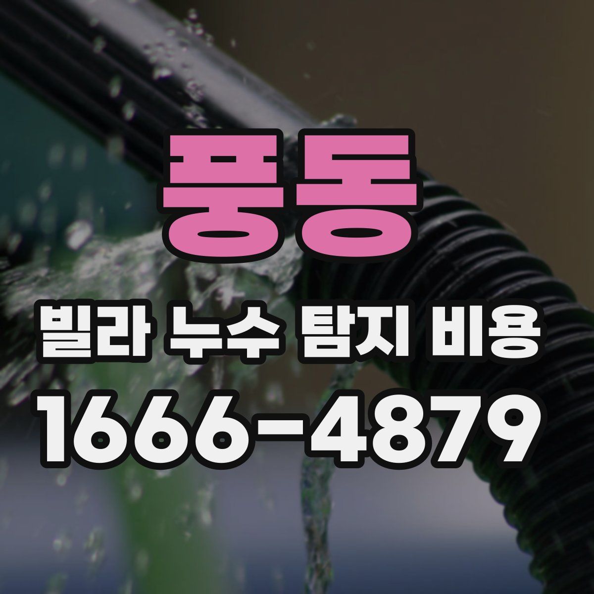 풍동 빌라 누수 탐지 비용