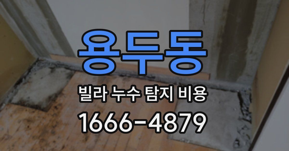 용두동 빌라 누수 탐지 비용