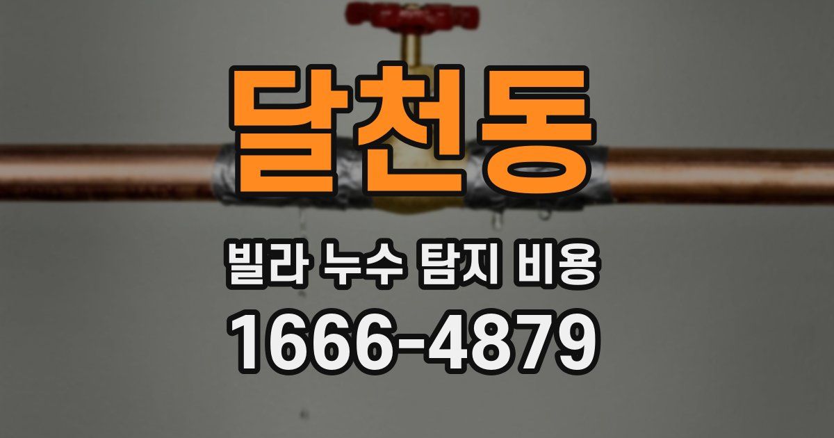 달천동 빌라 누수 탐지 비용