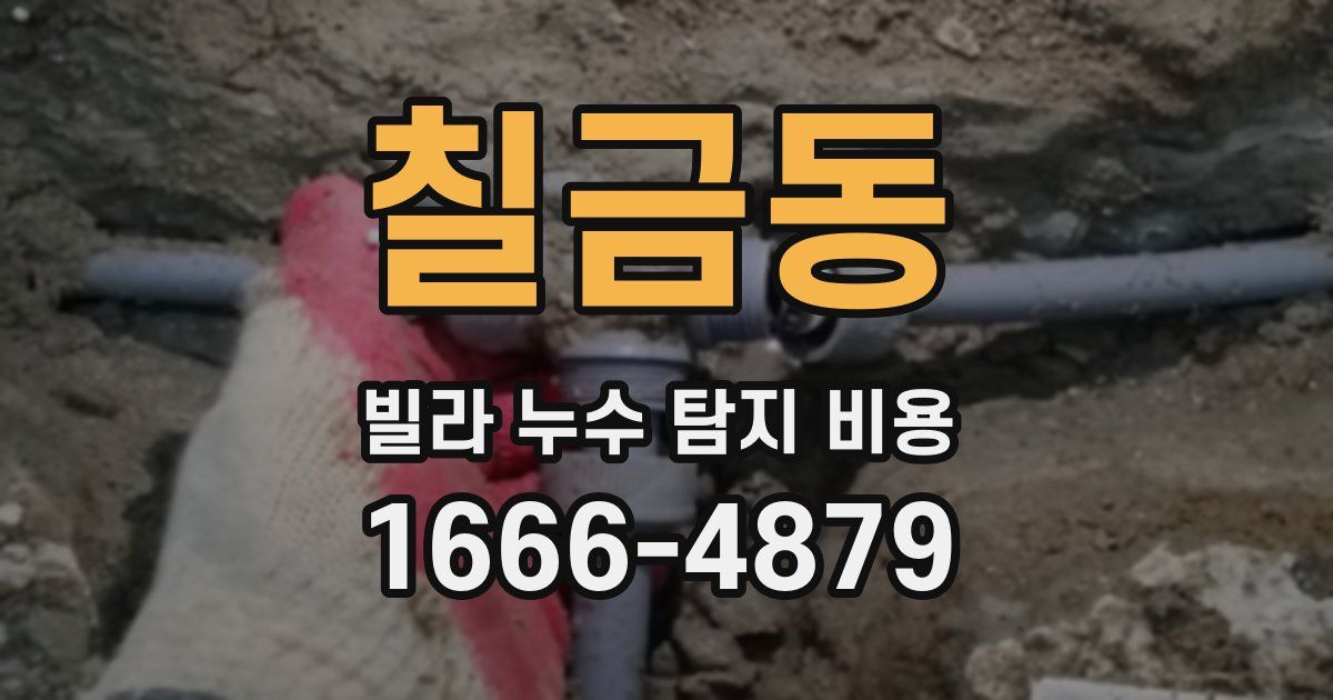 칠금동 빌라 누수 탐지 비용