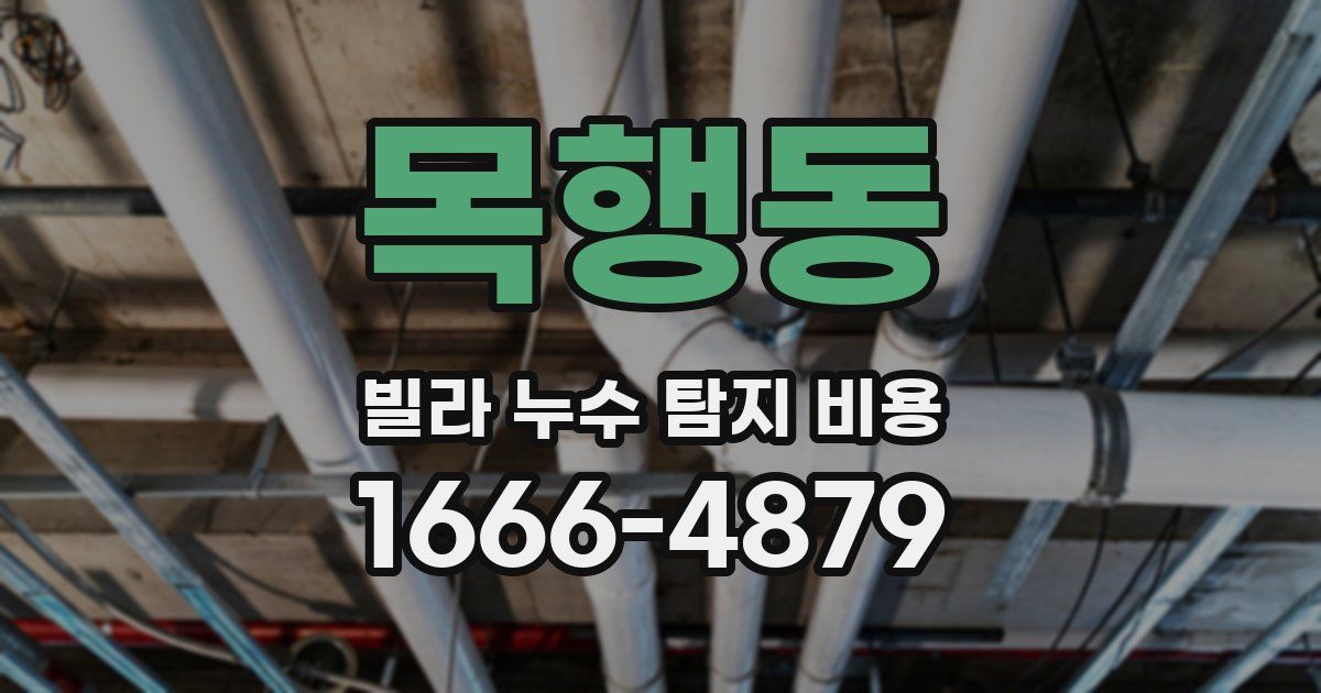 목행동 빌라 누수 탐지 비용