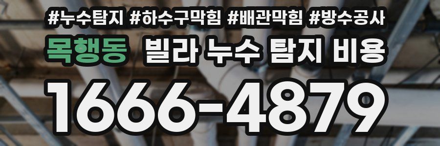 목행동 빌라 누수 탐지 비용