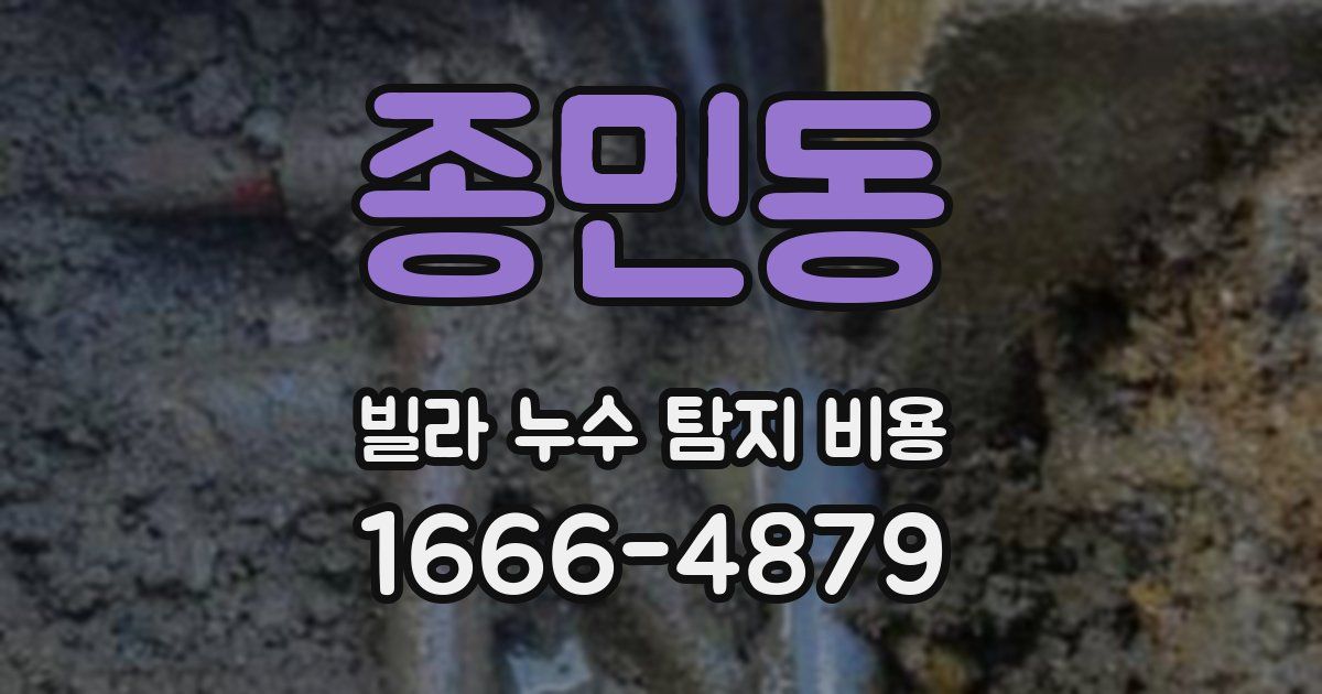 종민동 빌라 누수 탐지 비용