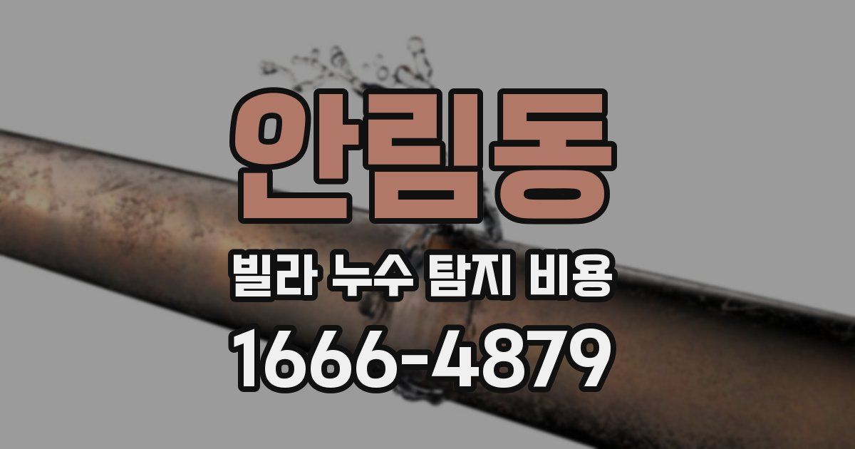 안림동 빌라 누수 탐지 비용