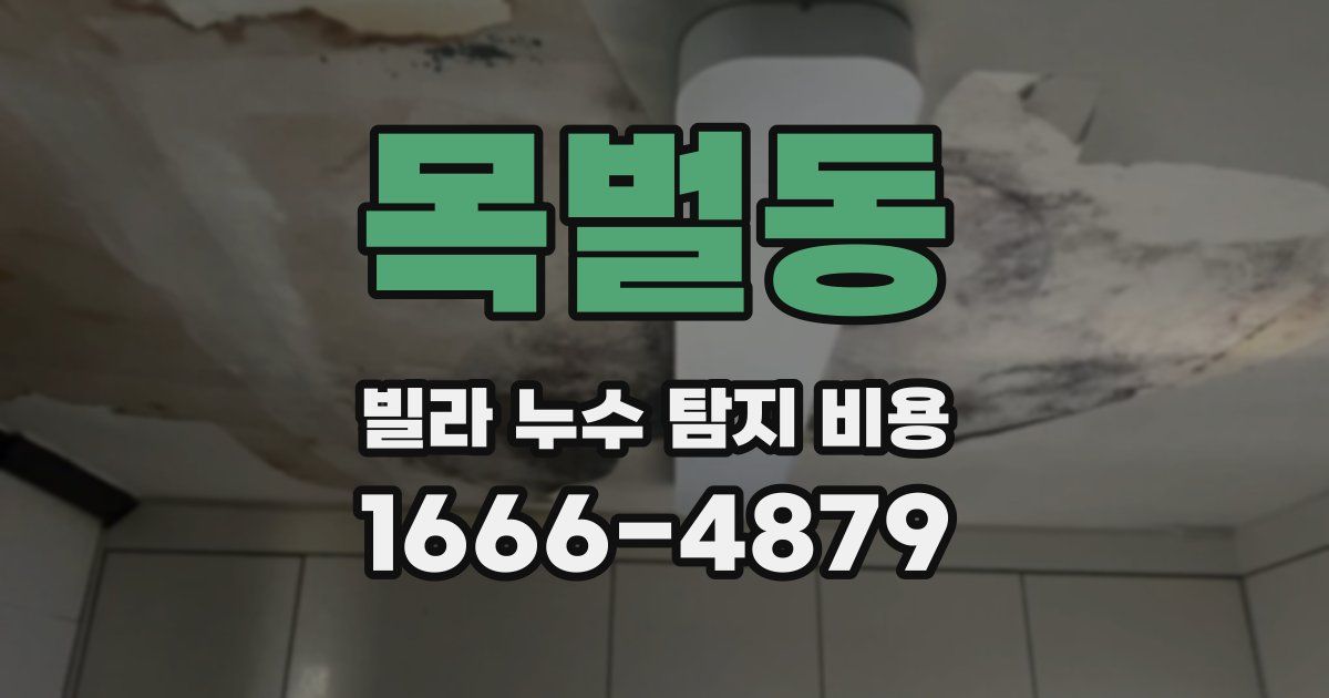 목벌동 빌라 누수 탐지 비용