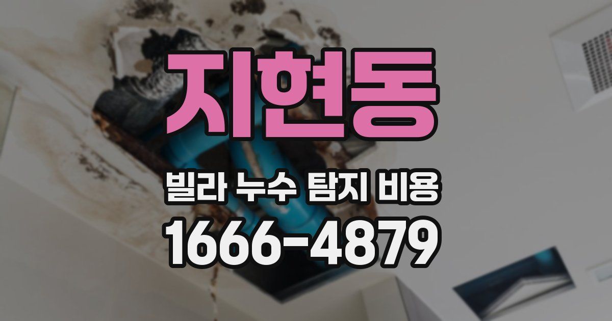 지현동 빌라 누수 탐지 비용