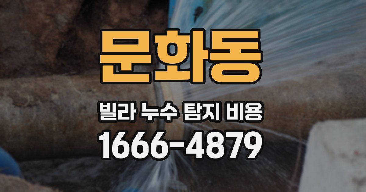 문화동 빌라 누수 탐지 비용