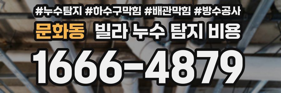 문화동 빌라 누수 탐지 비용