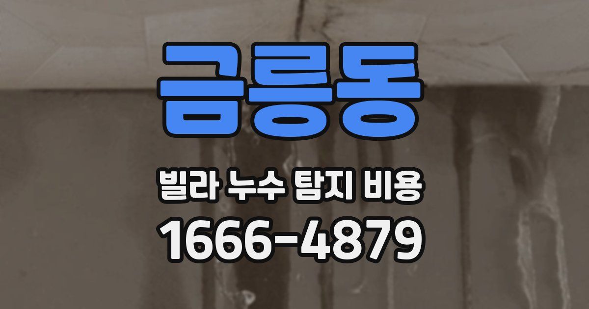 금릉동 빌라 누수 탐지 비용