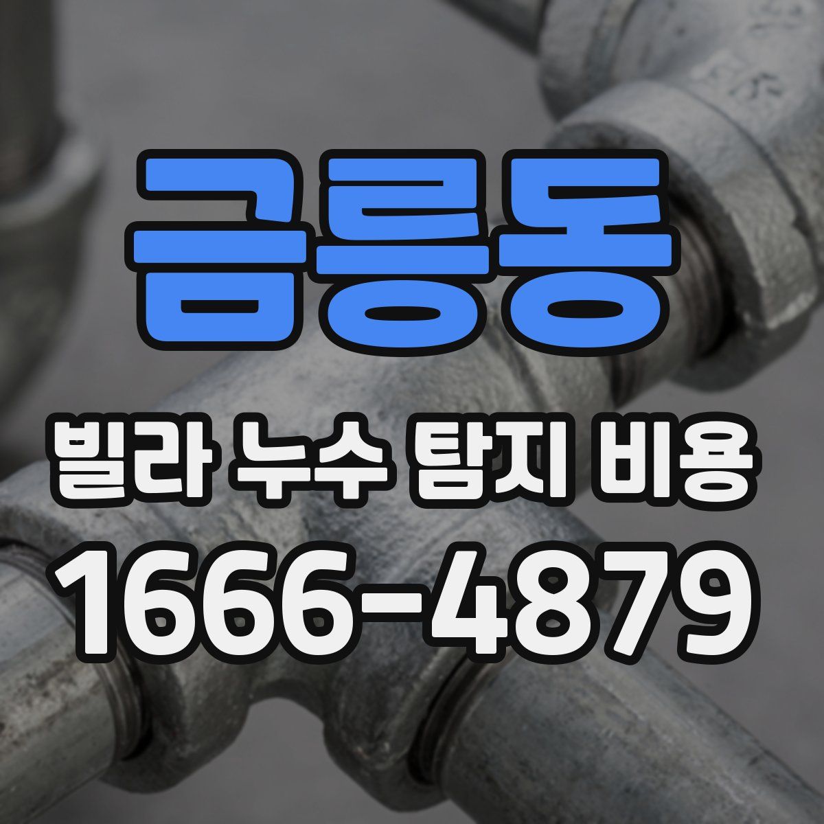 금릉동 빌라 누수 탐지 비용