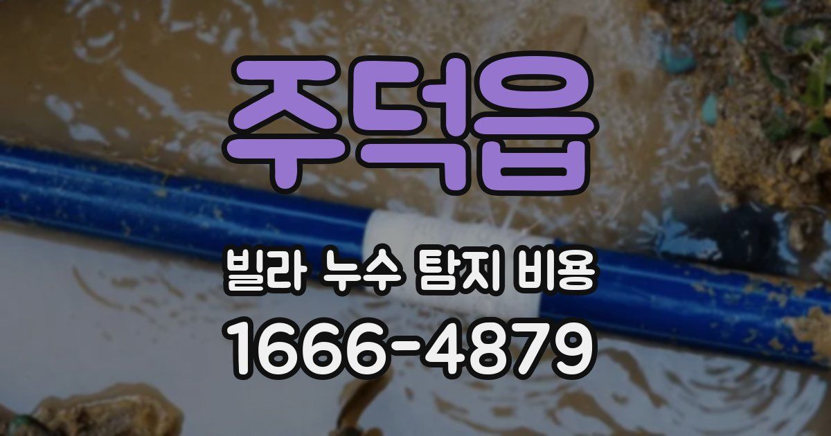 주덕읍 빌라 누수 탐지 비용