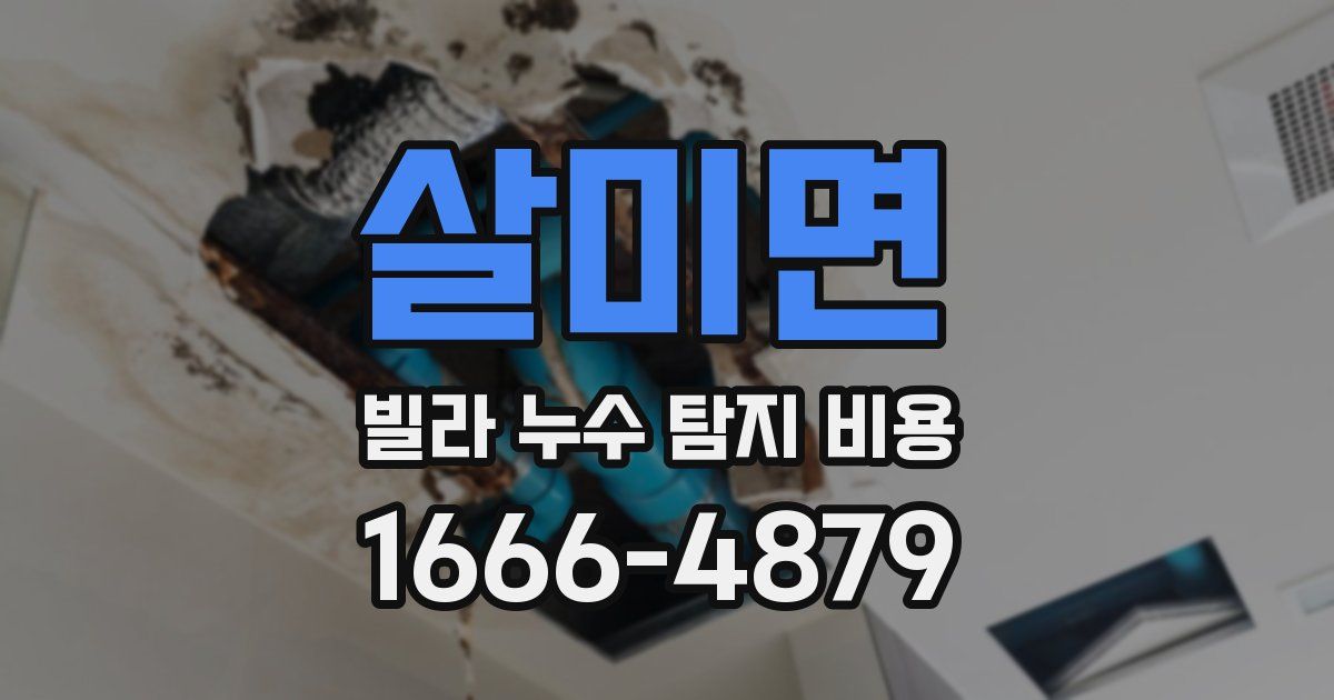 살미면 빌라 누수 탐지 비용