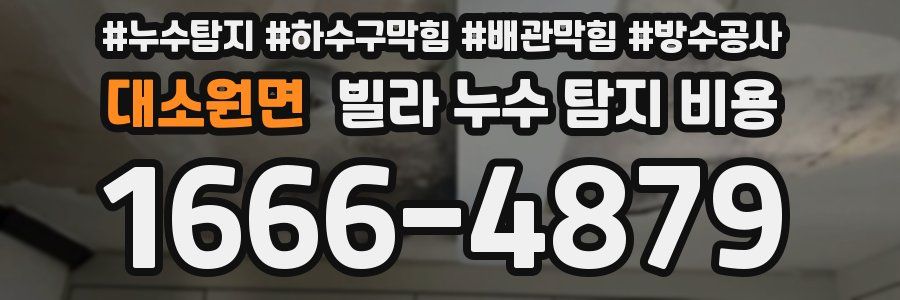 대소원면 빌라 누수 탐지 비용