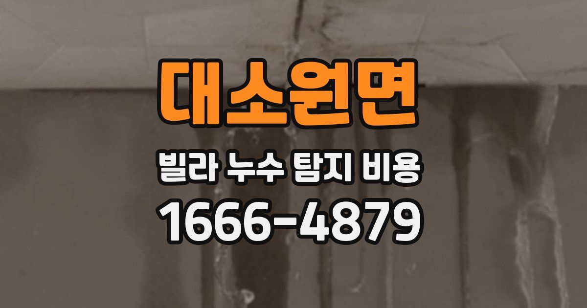 대소원면 빌라 누수 탐지 비용