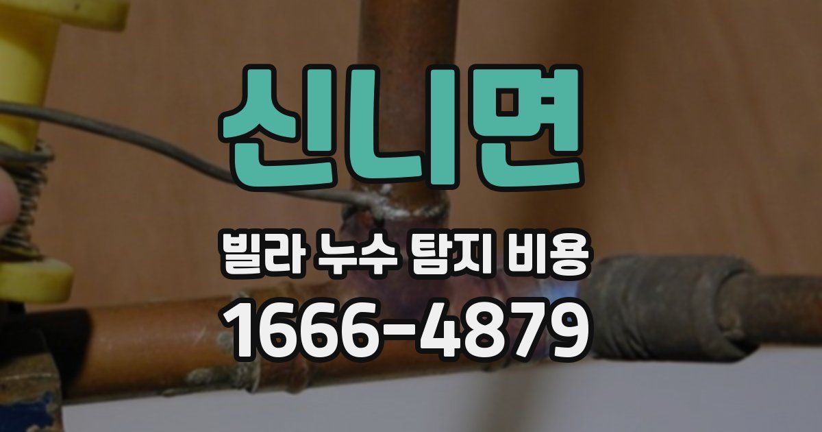 신니면 빌라 누수 탐지 비용