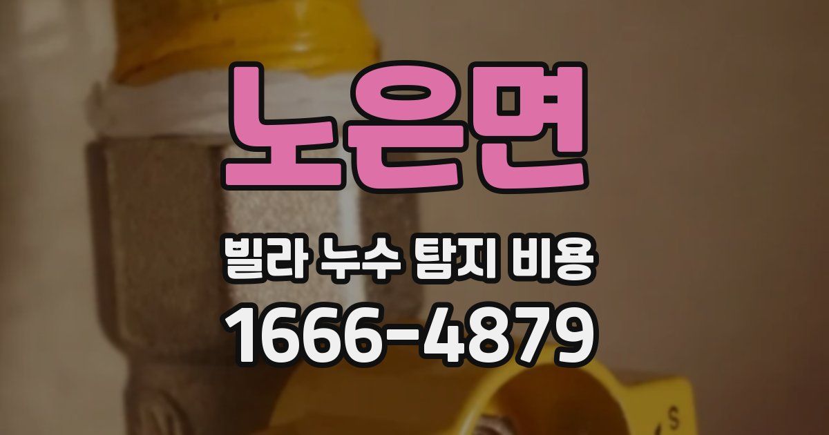 노은면 빌라 누수 탐지 비용