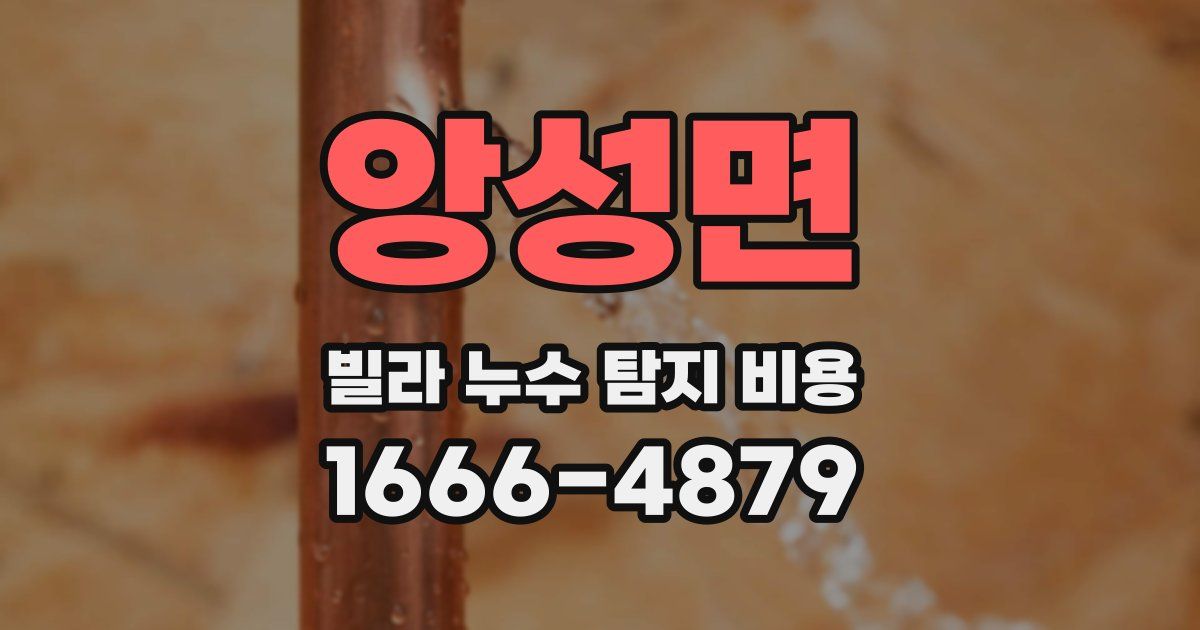 앙성면 빌라 누수 탐지 비용