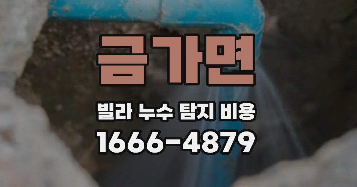 금가면 빌라 누수 탐지 비용