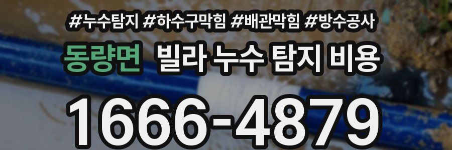 동량면 빌라 누수 탐지 비용