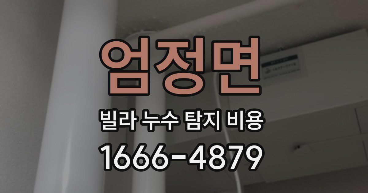 엄정면 빌라 누수 탐지 비용