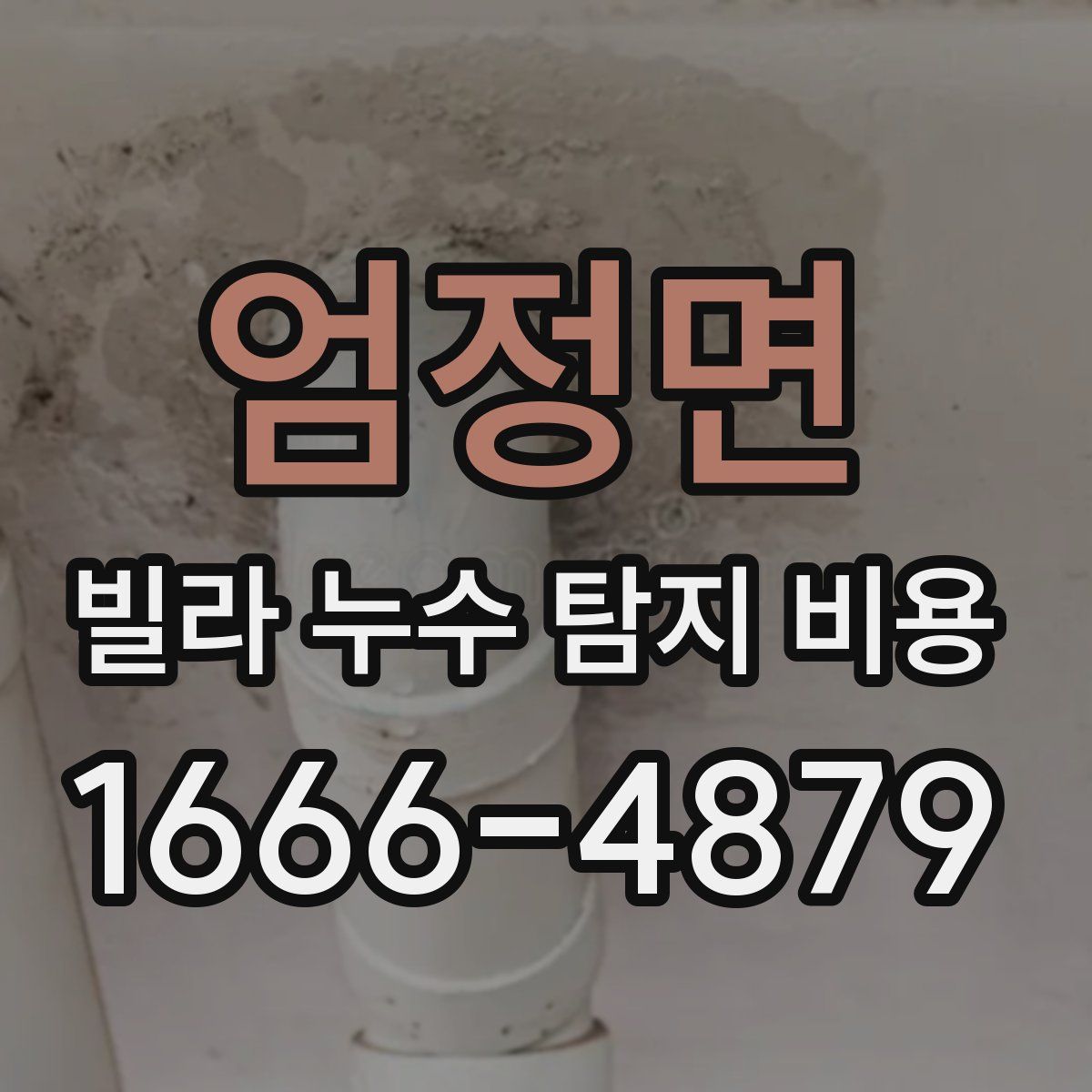 엄정면 빌라 누수 탐지 비용