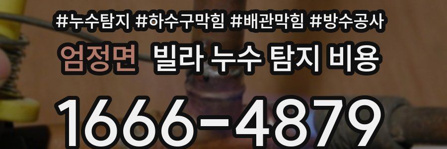 엄정면 빌라 누수 탐지 비용