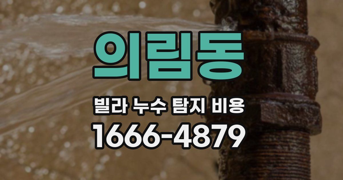 의림동 빌라 누수 탐지 비용